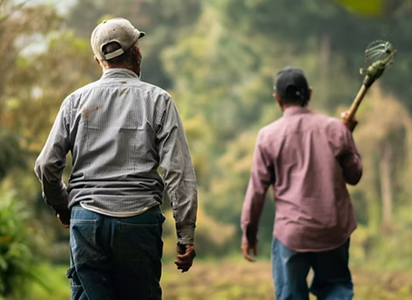 Seen from behind, two men walk down a green, tree-lined path, one carrying a hoe over his shoulder.