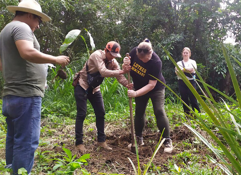 Volunteers and community members dig together with a long-handled tool among tall plants.