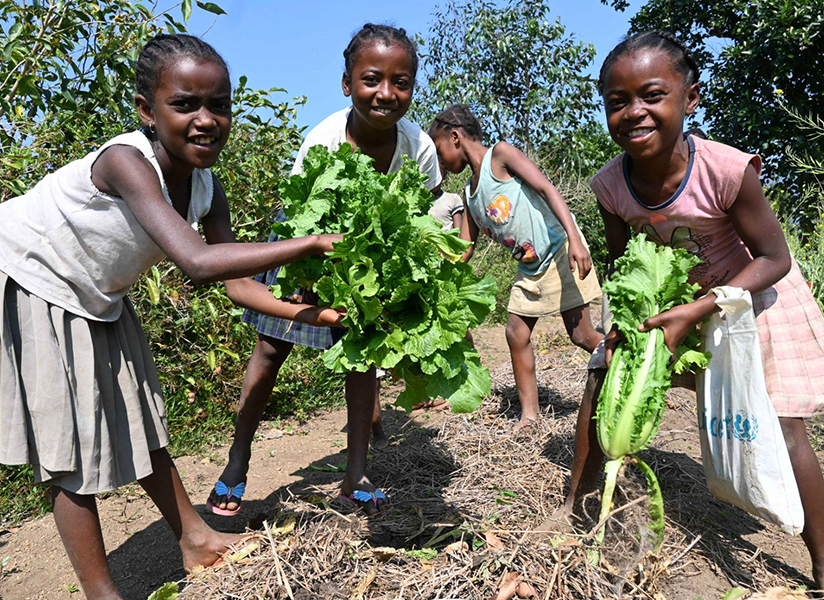 Smiling girls hold up freshly harvested leafy greens in a sunny garden.