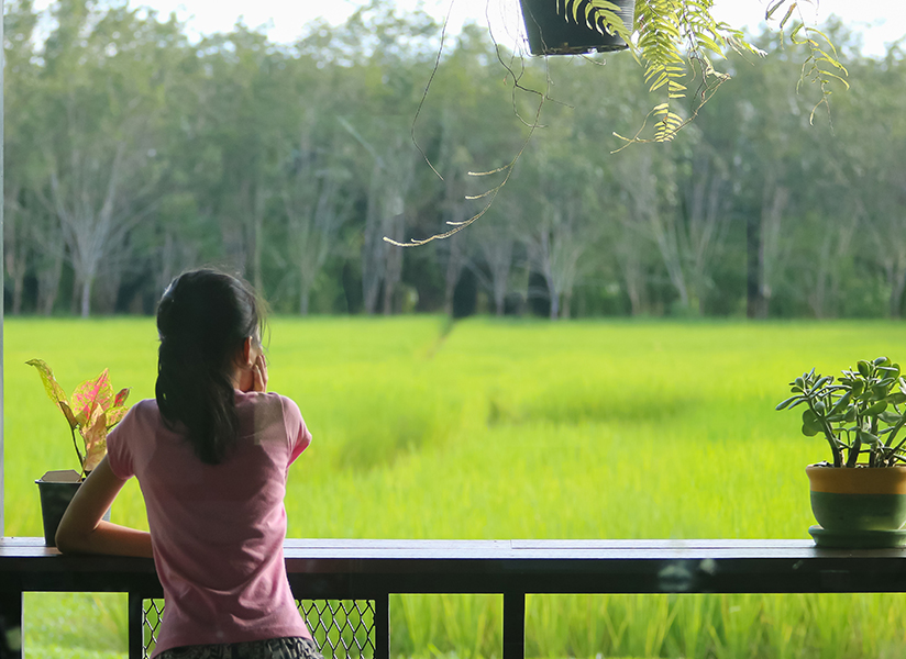 A young woman in a pink shirt leans on a railing, looking out over a green rice field.