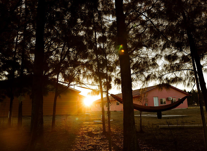 The sun sets behind tall pine trees, casting light on a hammock and a pink building.