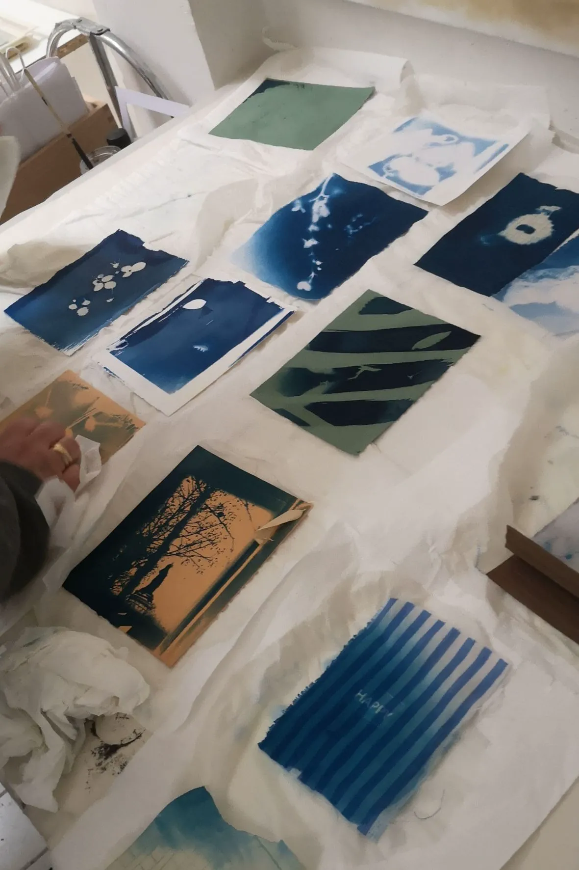 Initiation au cyanotype - Image 2