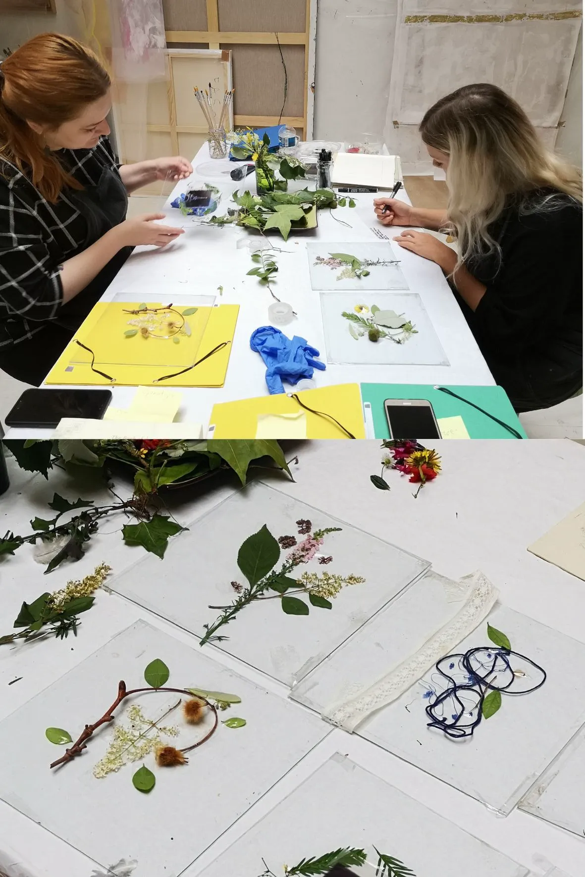 Initiation au cyanotype - Image 3