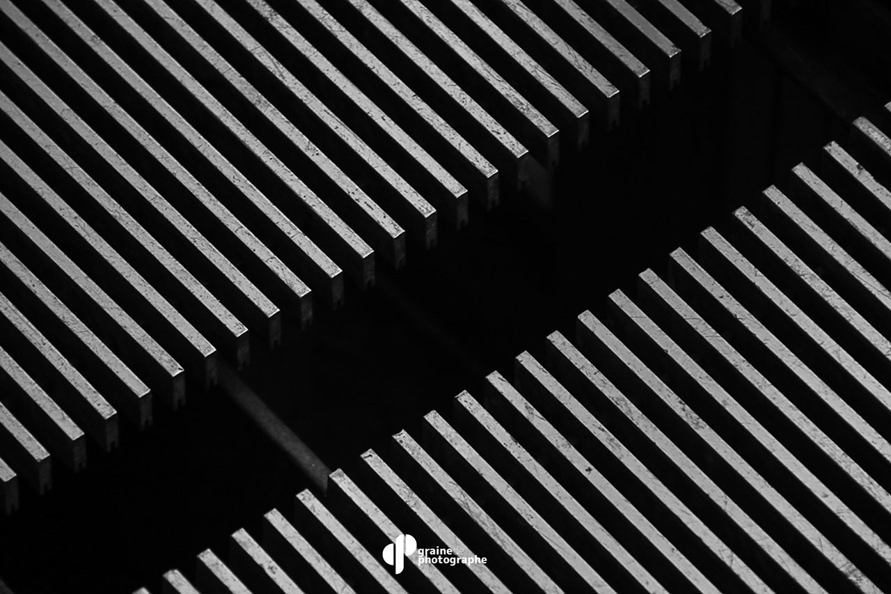 Atelier photo en noir et blanc - Image 4