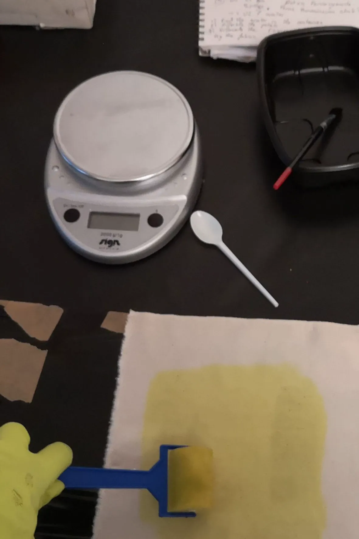 Initiation au cyanotype - Image 7