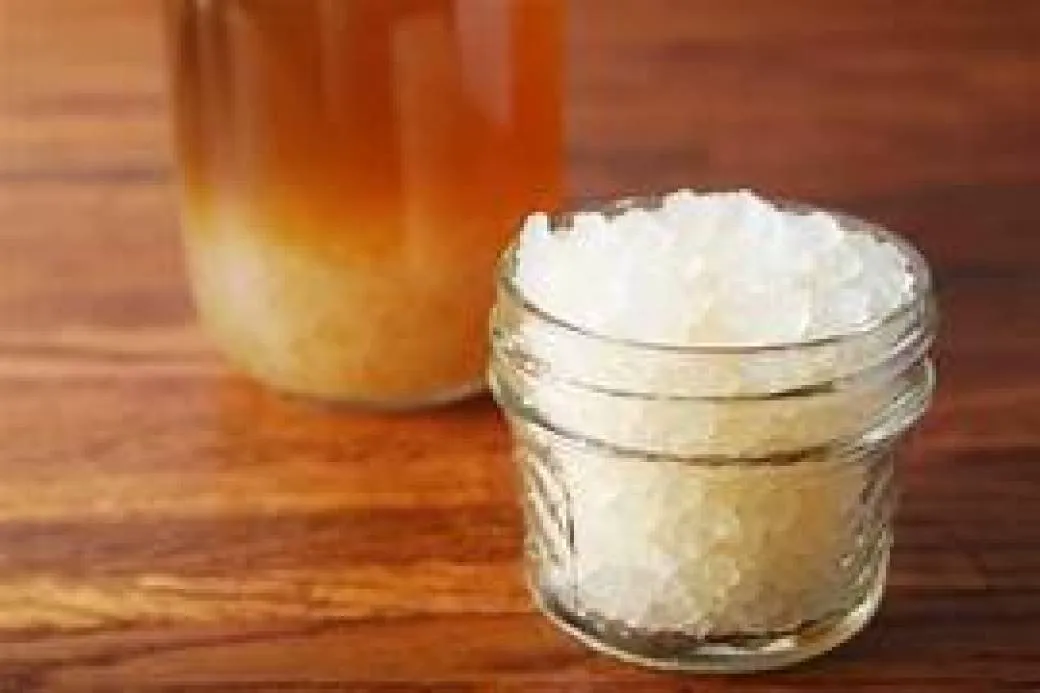 Initiation au kéfir - Image 2