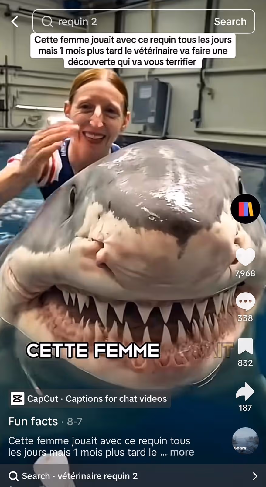 requin