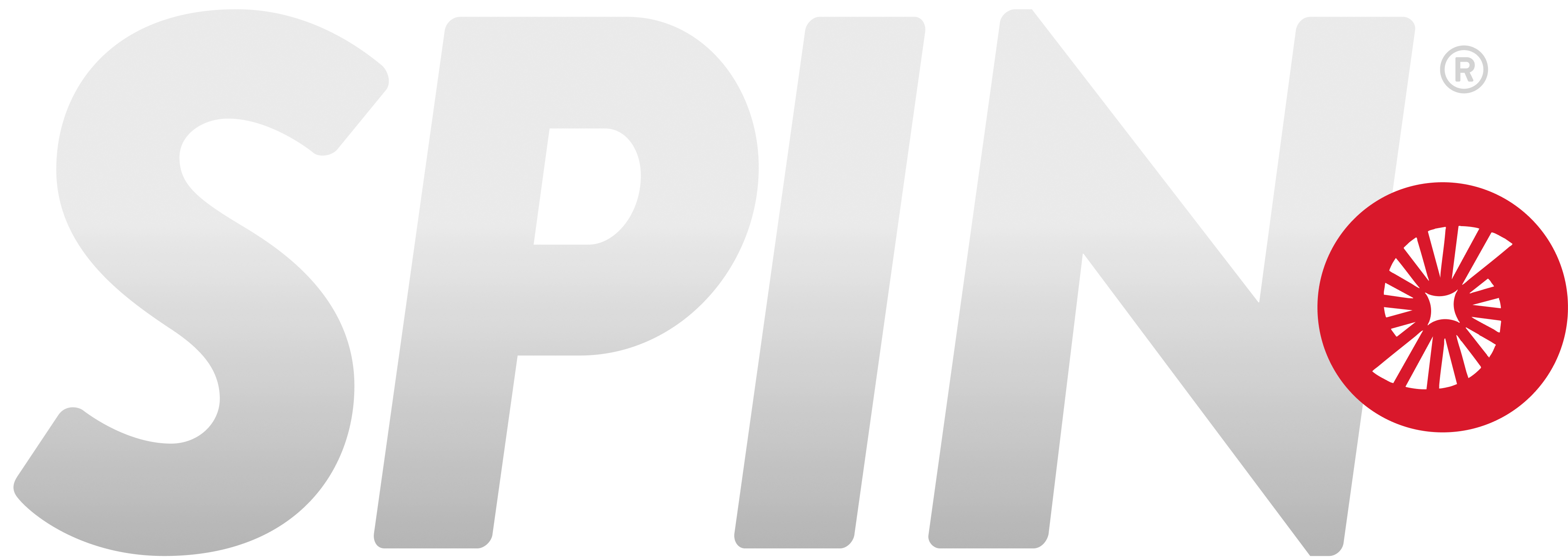SPIN logo