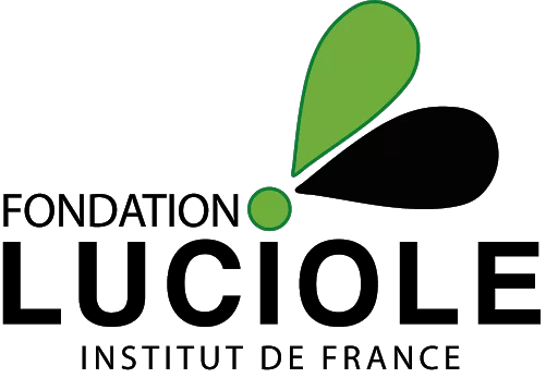 The Paak logo
