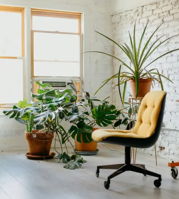 biophile-design-innovant-termes-moderne-maison