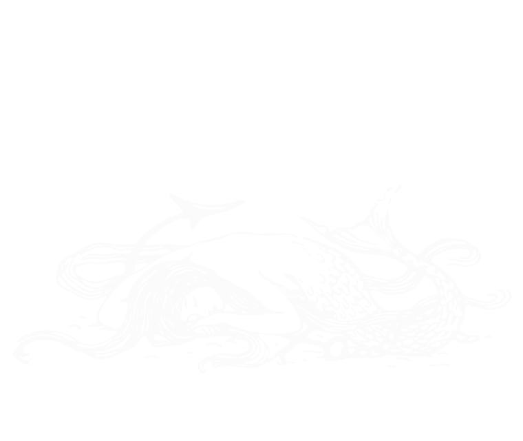 White silhouette of a motorcycle with a rider, facing left, on a black background.