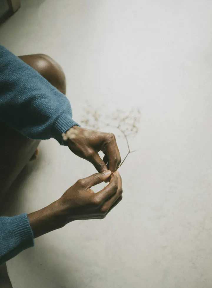 Person wearing a blue sweater holding a delicate dried flower against a plain light background.