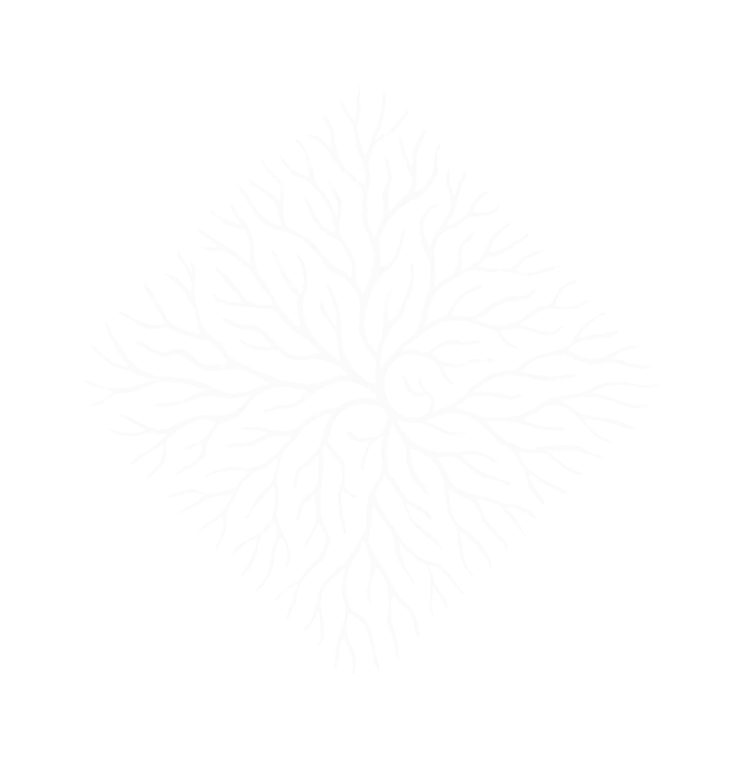 White pixelated fractal pattern forming a symmetrical diamond shape on a black background.
