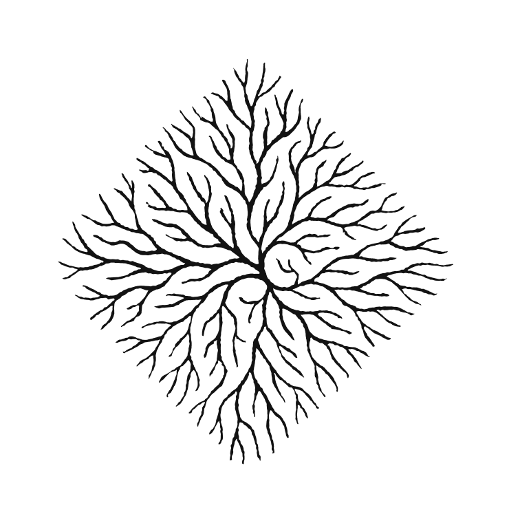 Abstract black geometric pattern made of interconnected curved lines forming a diamond shape on a transparent background.