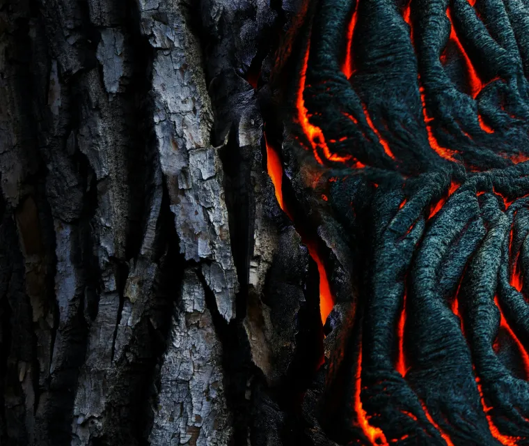 Close-up of charred tree bark with glowing red-orange molten lava cracks.
