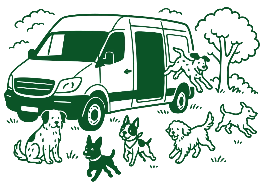 An Illustration of a van with dogs running around it set in a forest.
