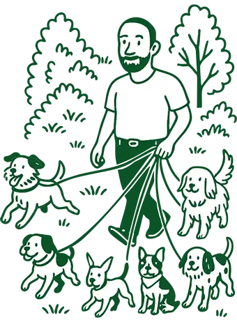 Illustration of a dog walker in a forest with dogs on leashes.