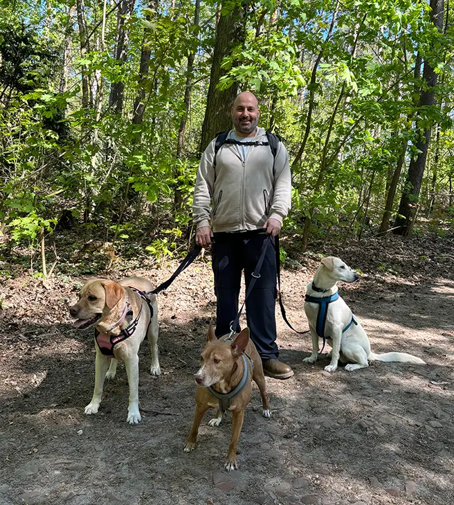 Photo of a dogwalker walking dogs in a forest.