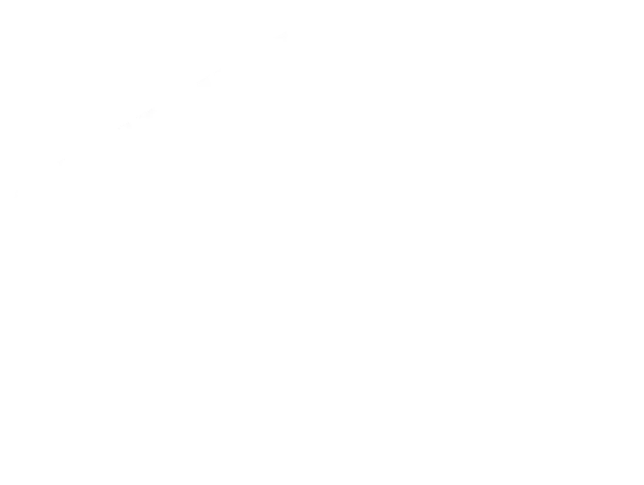 2017