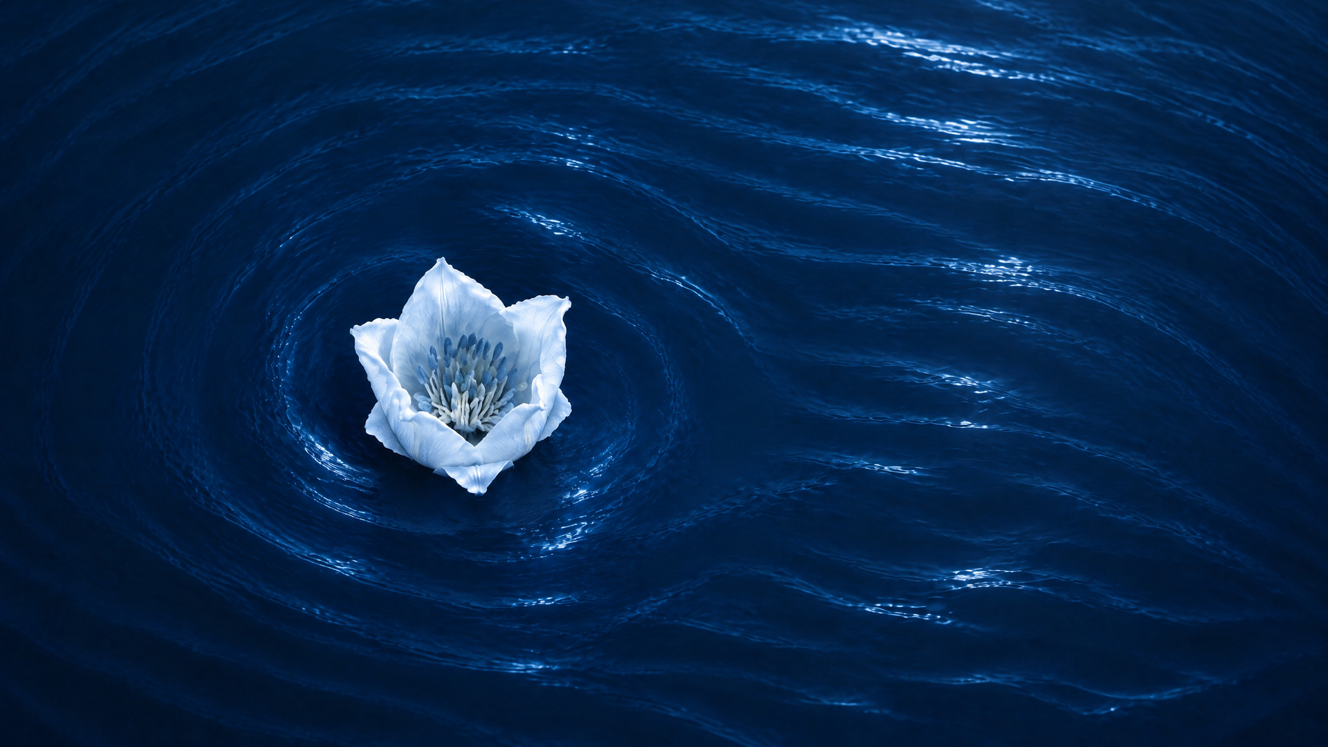 Your Operations Have to Match Your Brand Promise
