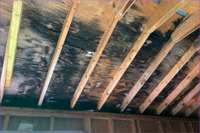 image of safety hazard identification (for a home inspector)