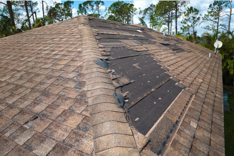 image of safety hazard identification (for a home inspector)