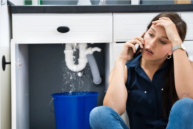 image of safety hazard identification (for a home inspector)