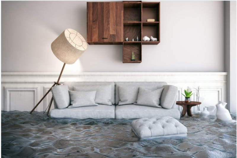 image of safety hazard identification (for a home inspector)