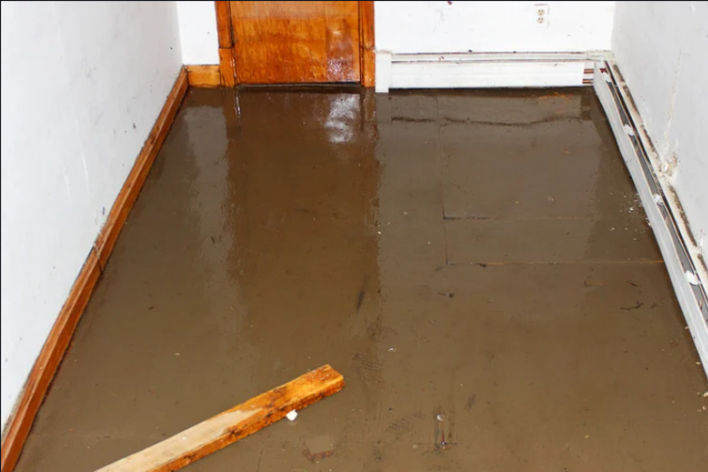 image of safety hazard identification (for a home inspector)