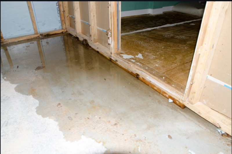 image of safety hazard identification (for a home inspector)