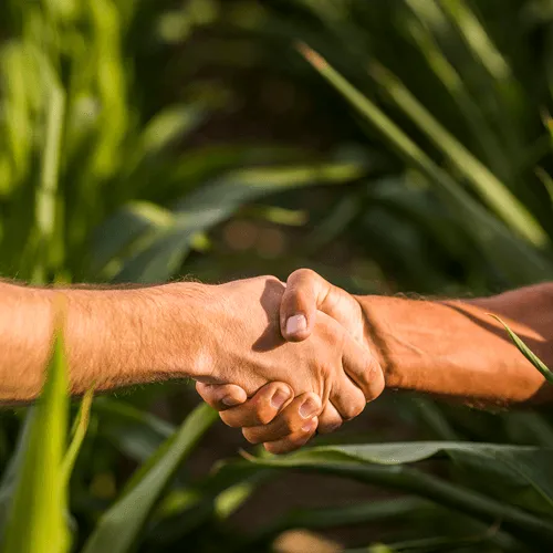 Shaking hands