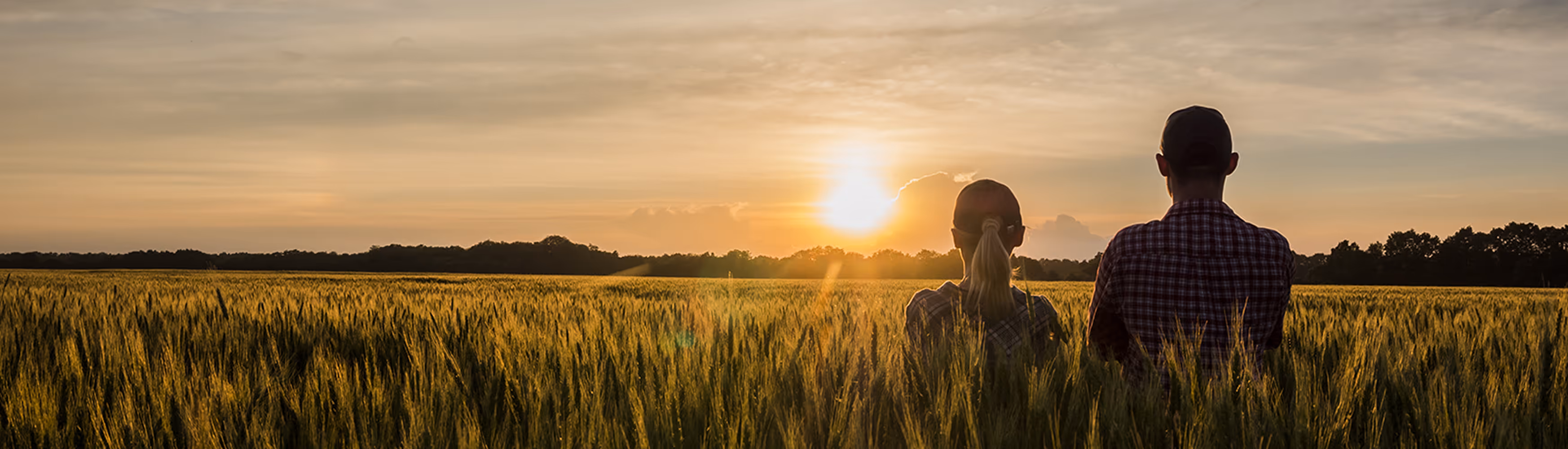 Man and woman watching the sunset in a field