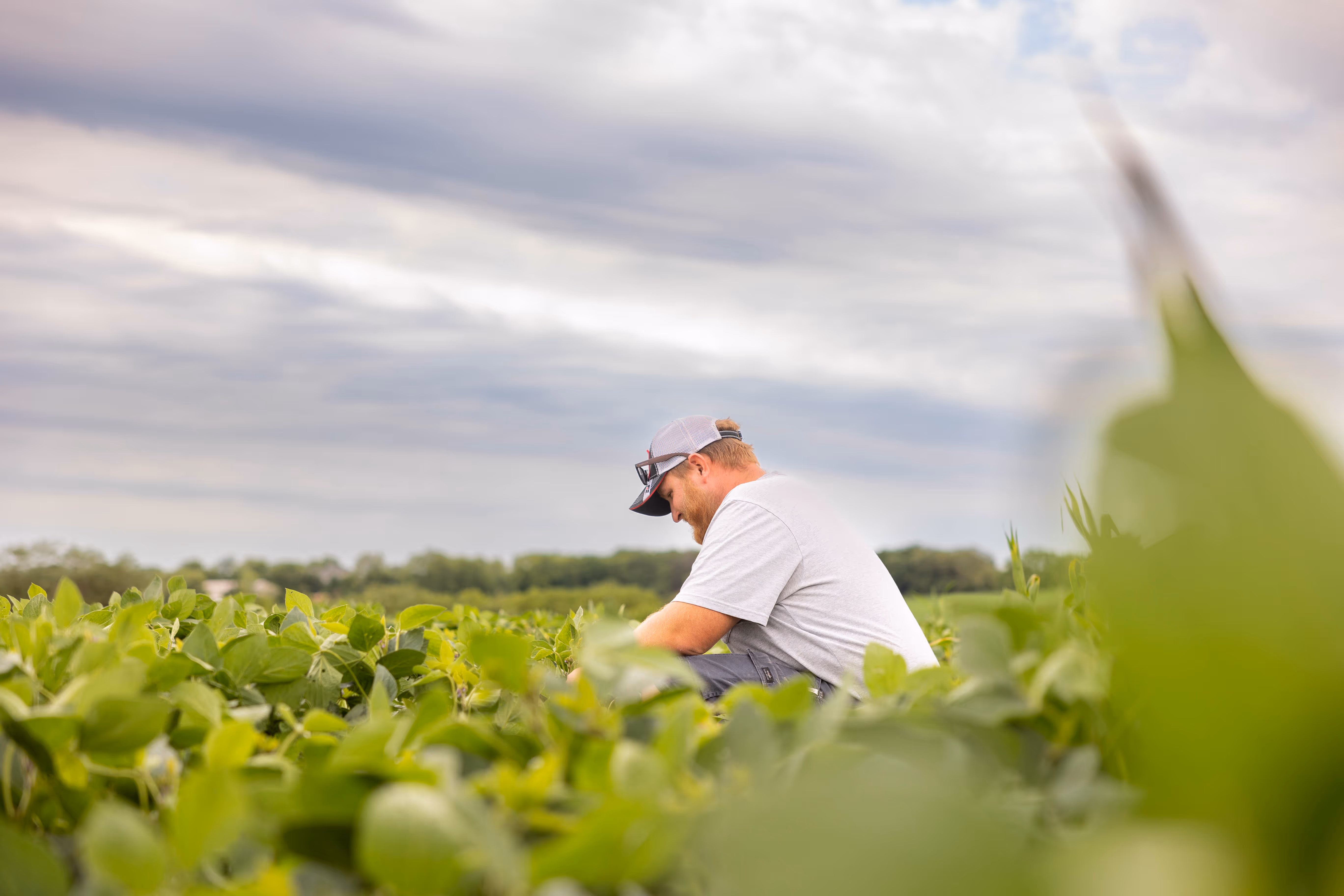 Man in a field