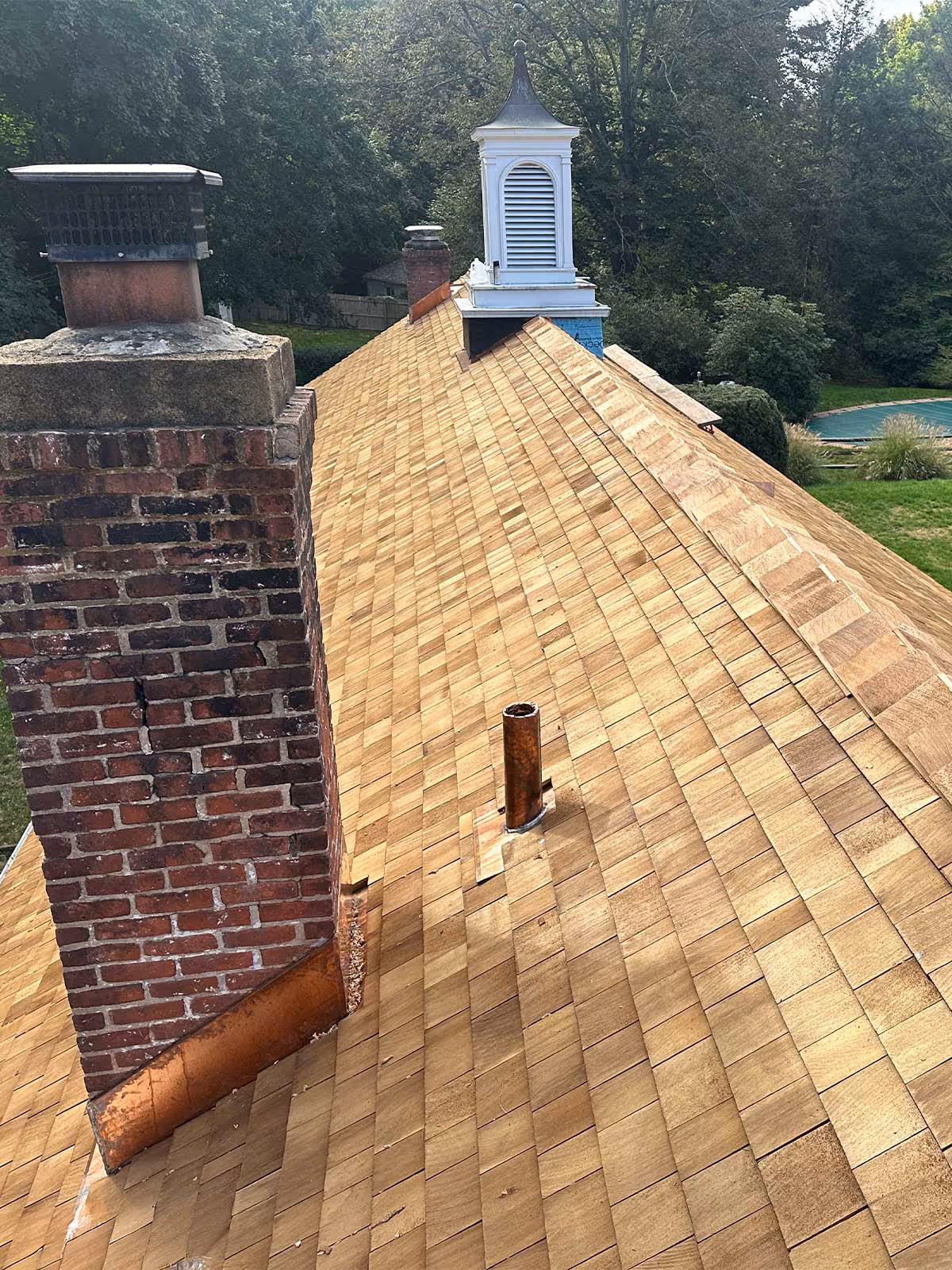 Long cedar shingle roof with brick chimney, vent pipe, and white cupola against a wooded background.