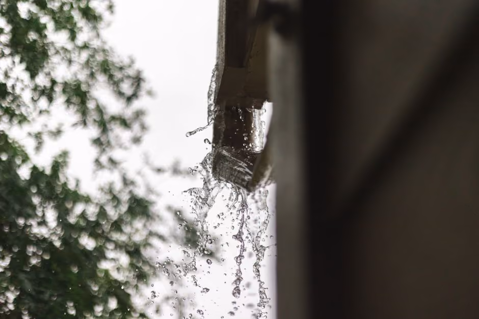 Find the best gutter companies near me to protect your home from water damage with expert installation and maintenance.