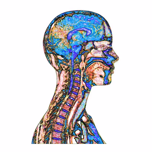 Metabolizing Stress Better