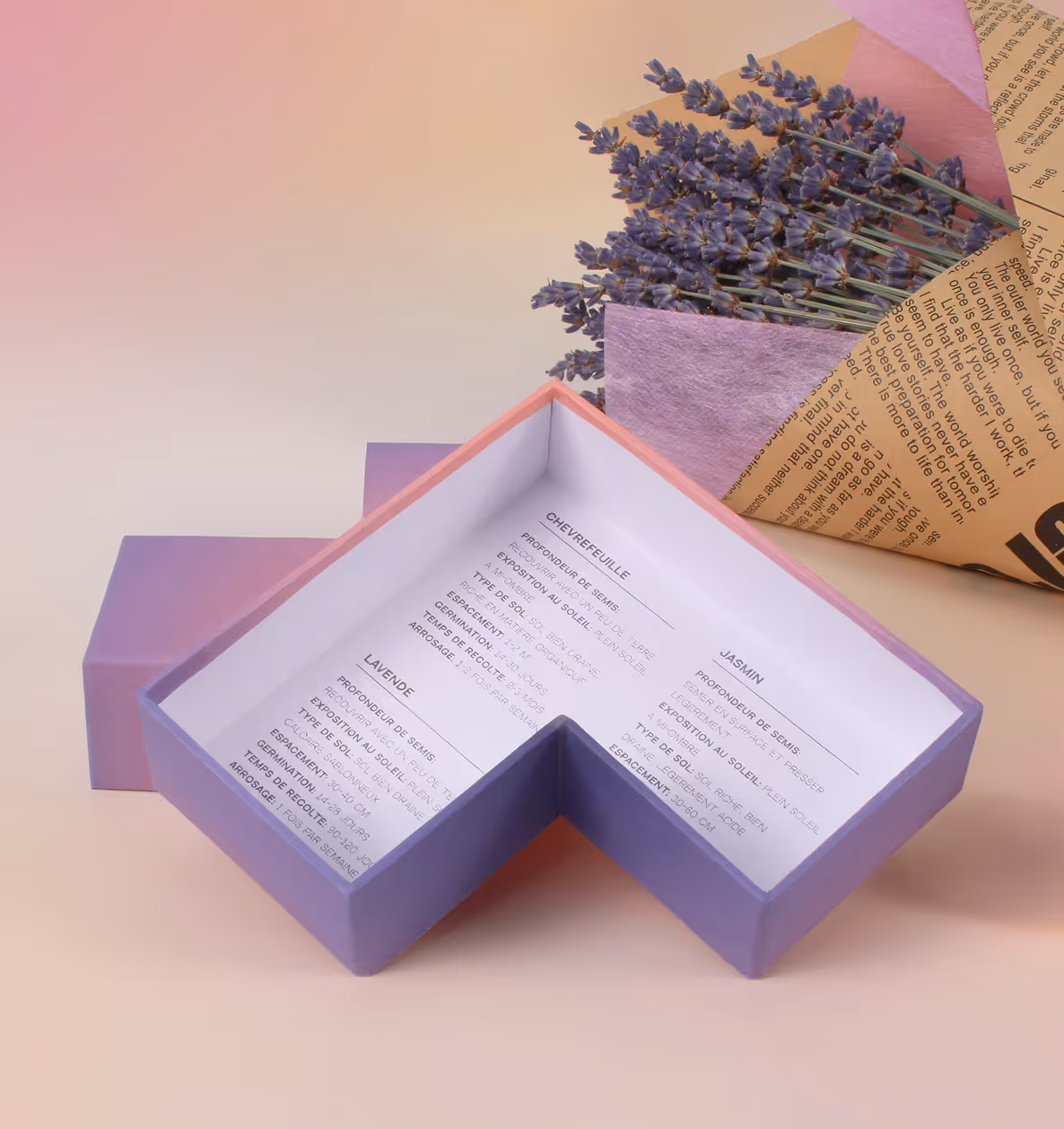 Inside of box displaying text inside.