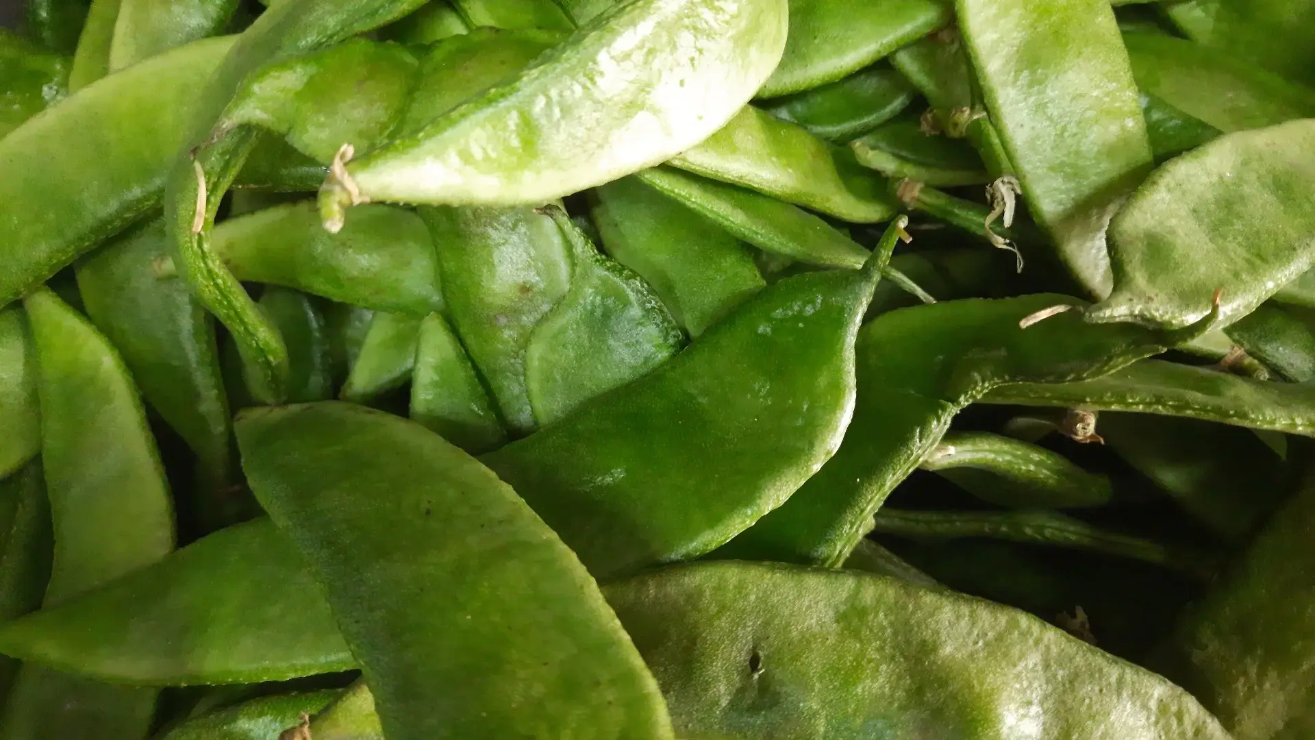 Close-up of fresh green snow peas