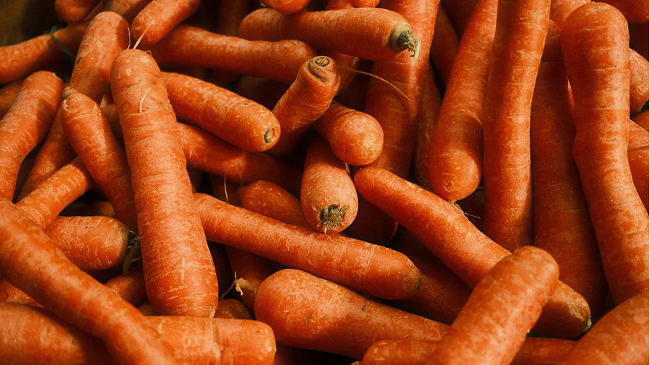 Pile of fresh orange carrots