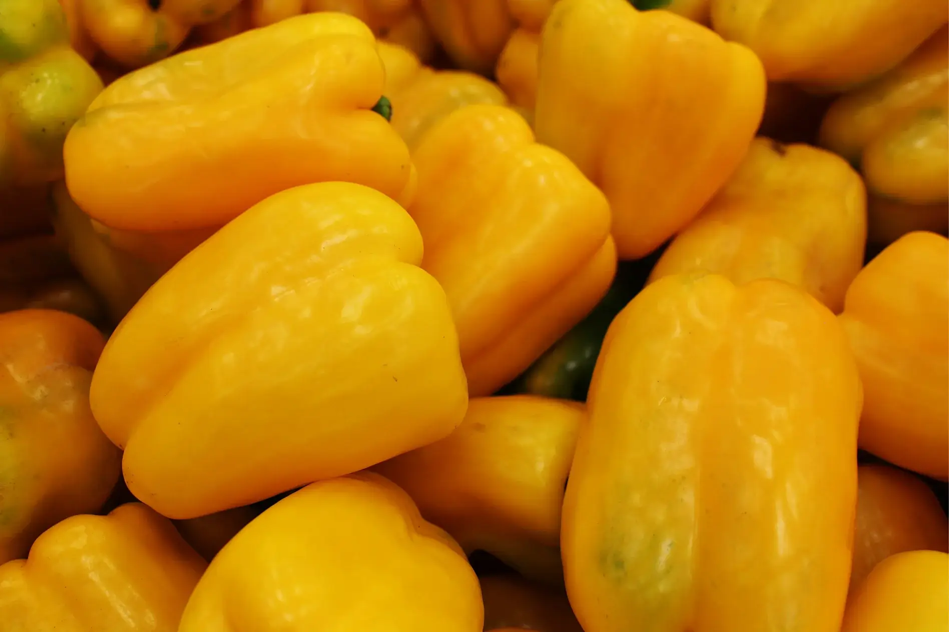Close-up of bright yellow bell peppers