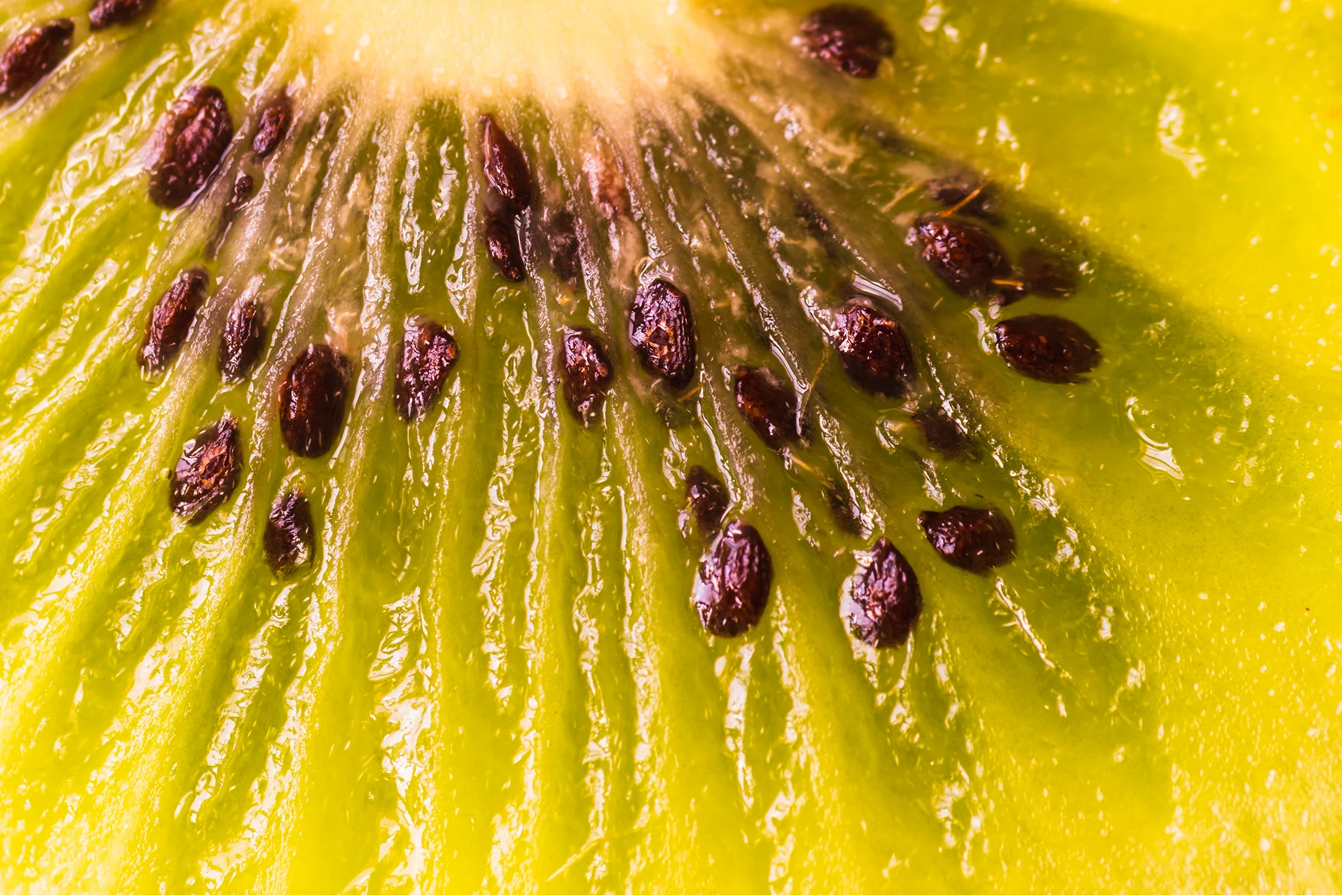 Close-up of a sliced golden kiwi showing its seeds