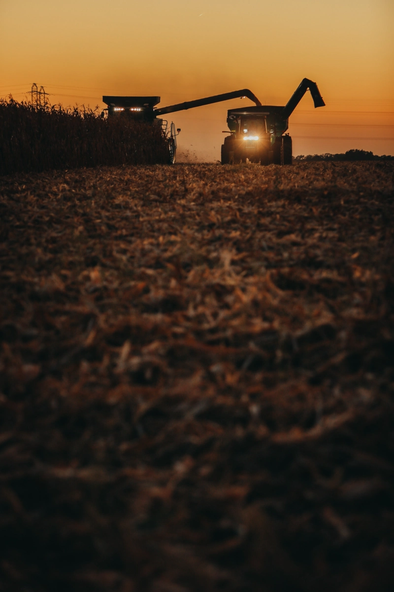 Combine harvester working a field at sunset
