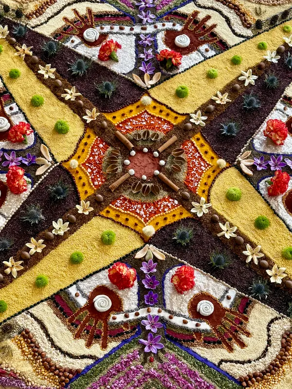 Close-up of a symmetrical despacho mandala: bands of yellow and dark grains form geometric shapes, decorated with purple and red flowers, seeds, and small natural elements.