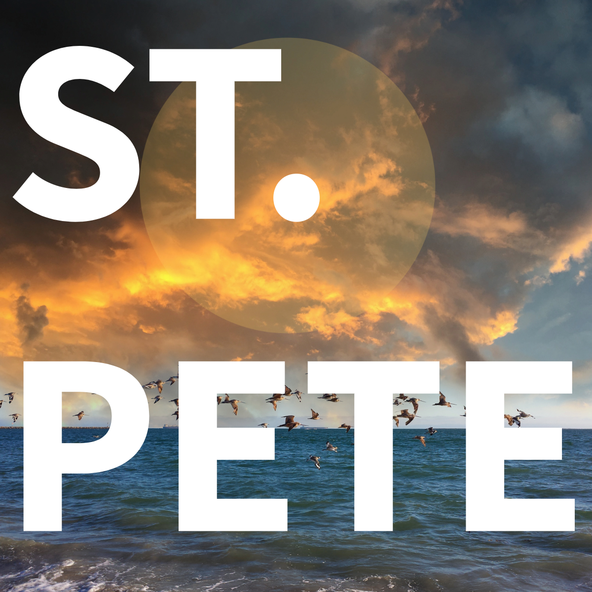 Why Local SEO Matters in St. Petersburg