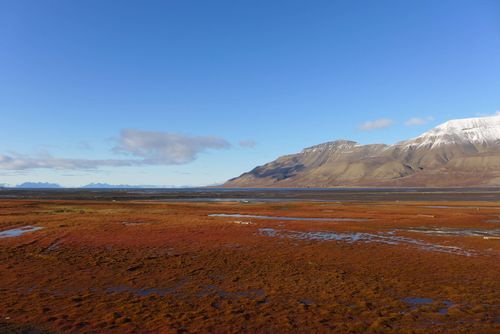 Diego's Travel pictures