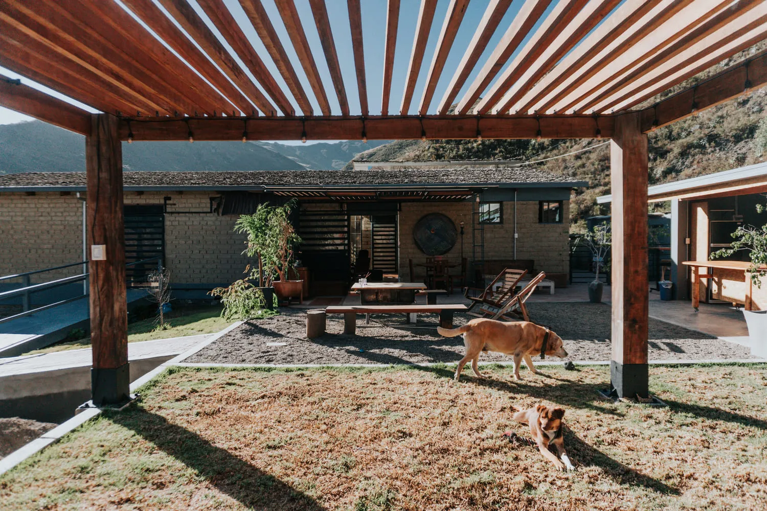 Patio con pérgola de listones y un perro caminando sobre el pasto.