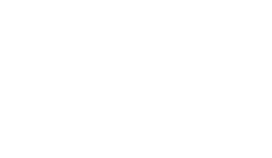 RevSure
