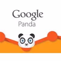 Blog Single Image