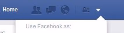 FB Business