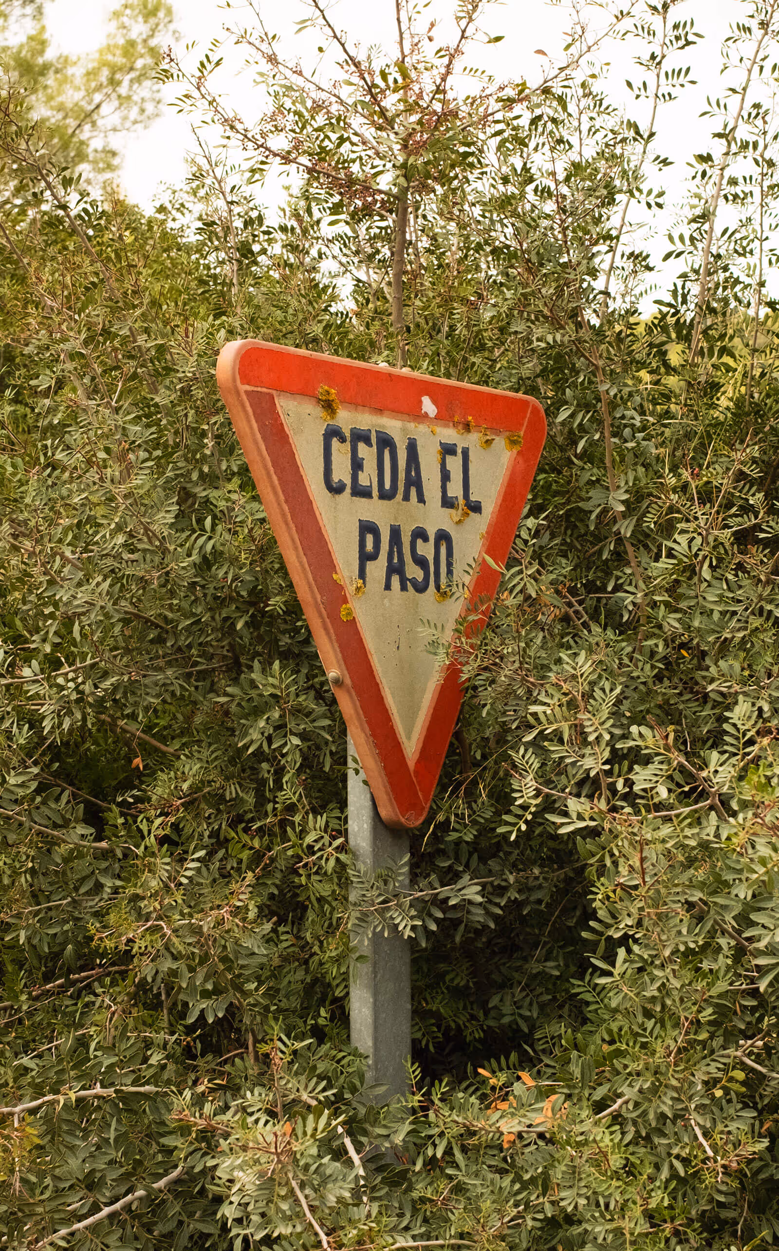 A street sign